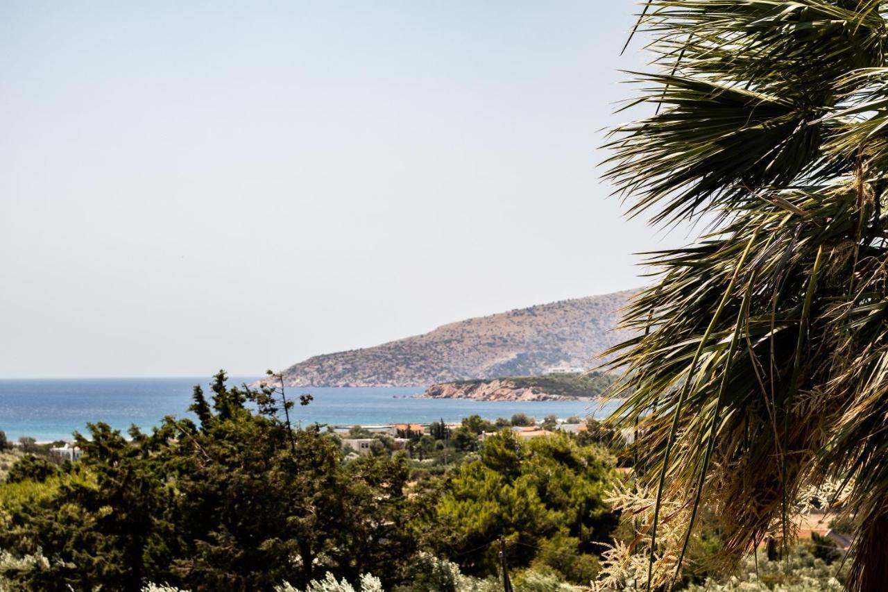 Villa Sounio Sunion Exteriör bild